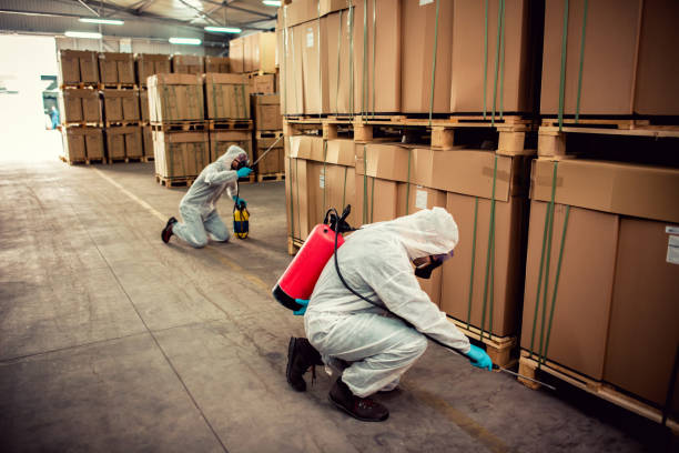 Best Residential Pest Control  in Powder Springs, GA