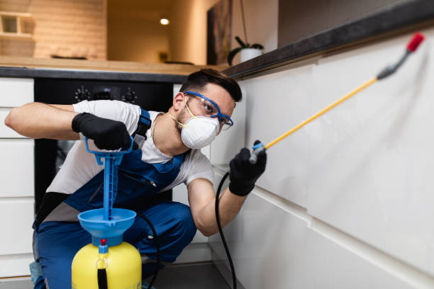 Best Pest Removal Services  in Powder Springs, GA