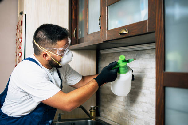 Pest Prevention Services in Powder Springs, GA
