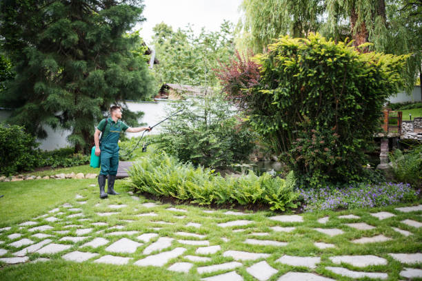 Best Best Pest Control Companies  in Powder Springs, GA