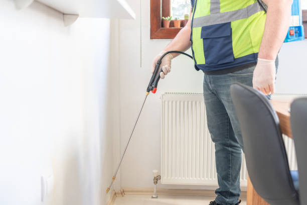 Best Affordable Pest Control Services  in Powder Springs, GA