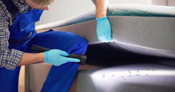 Best Insect Control  in Powder Springs, GA
