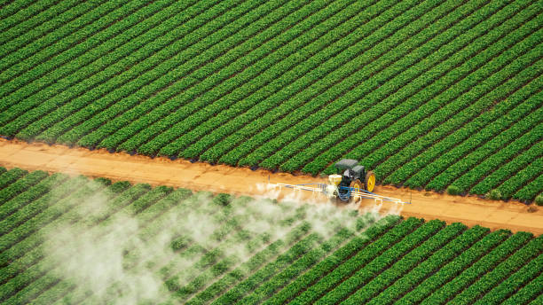 Best Insect Control  in Powder Springs, GA