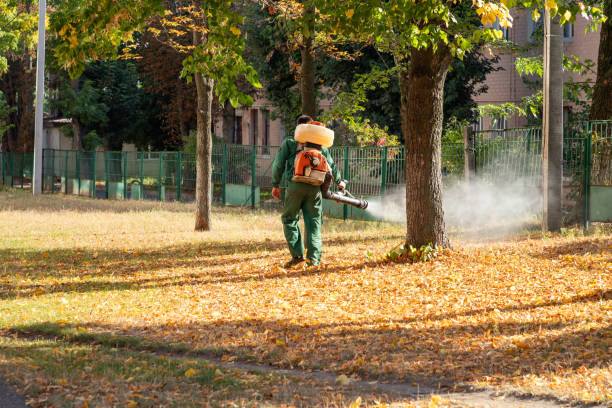 Best Pest Inspection Near Me  in Powder Springs, GA