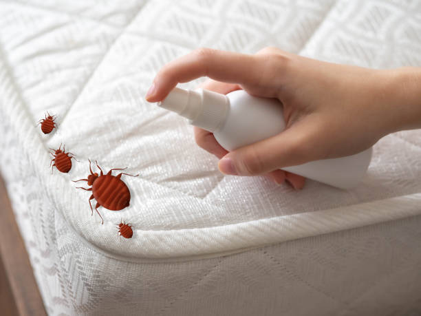 Best Wasp Removal Services  in Powder Springs, GA
