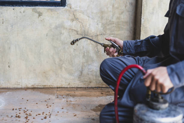 Best Emergency Pest Control  in Powder Springs, GA